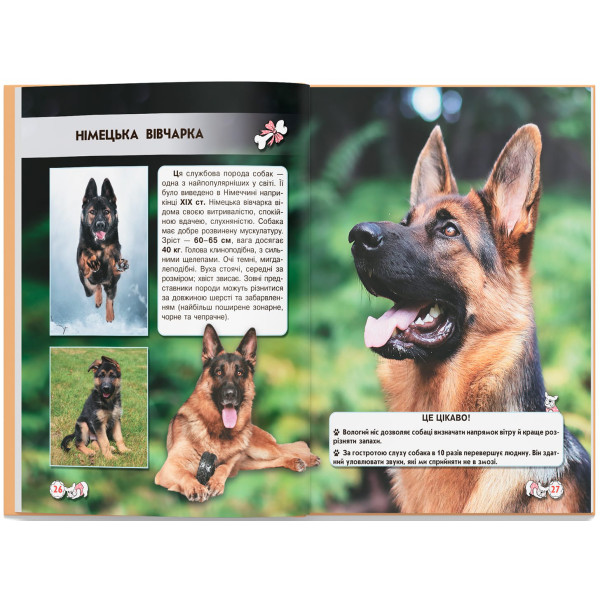 Фото - Crystal Book Світ навколо нас. Собаки (9789669367488)