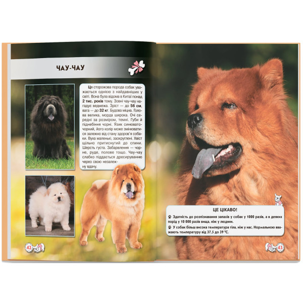 Фото - Crystal Book Світ навколо нас. Собаки (9789669367488)