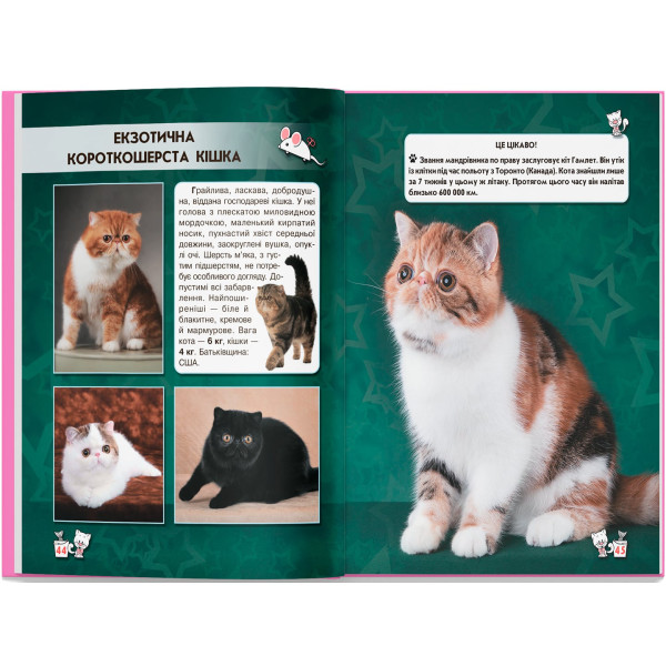 Фото - Crystal Book Світ навколо нас. Кішки (9789669367501)