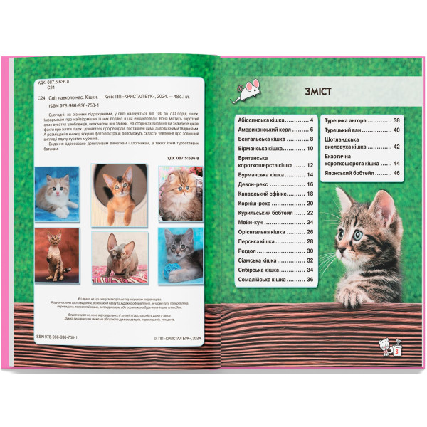 Фото - Crystal Book Світ навколо нас. Кішки (9789669367501)