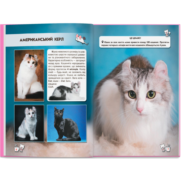 Фото - Crystal Book Світ навколо нас. Кішки (9789669367501)