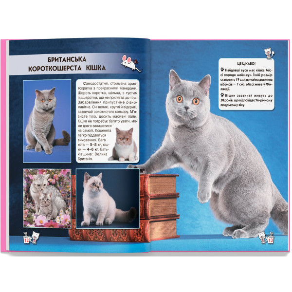 Фото - Crystal Book Світ навколо нас. Кішки (9789669367501)