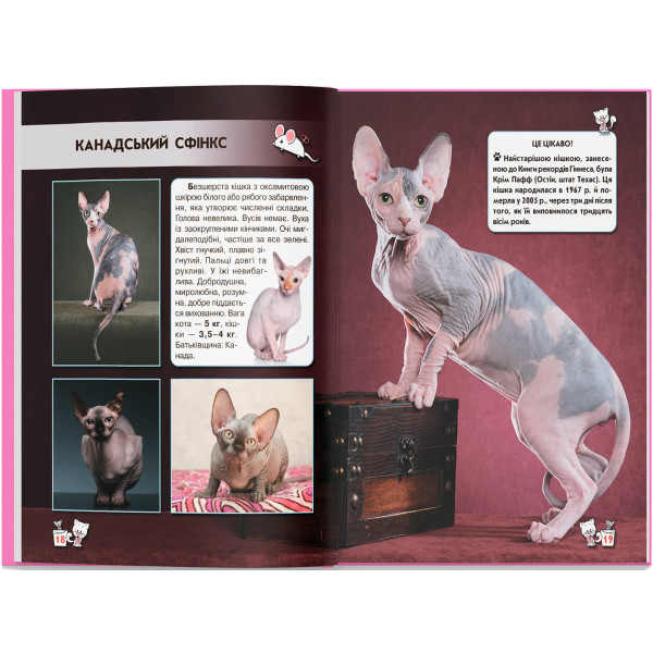 Фото - Crystal Book Світ навколо нас. Кішки (9789669367501)