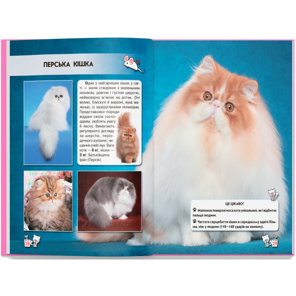 Фото - Crystal Book Світ навколо нас. Кішки (9789669367501)