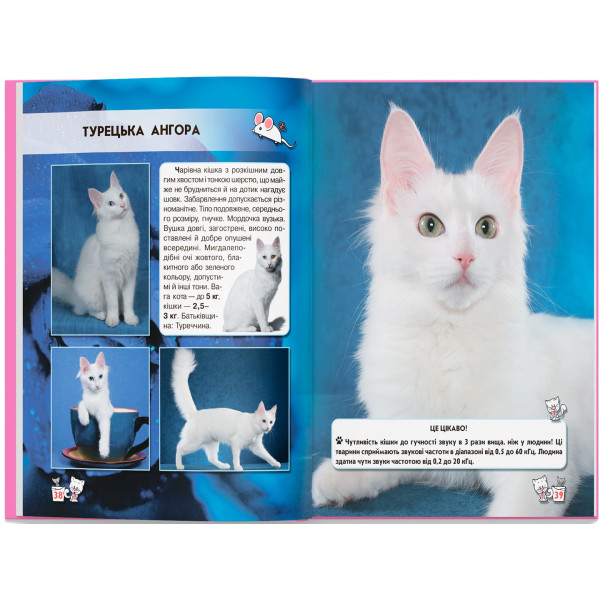 Фото - Crystal Book Світ навколо нас. Кішки (9789669367501)