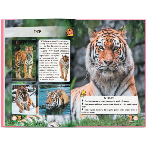 Фото -  Crystal Book Мир вокруг нас. Большие кошки (9789669369550)