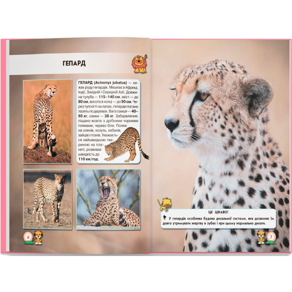 Фото -  Crystal Book Мир вокруг нас. Большие кошки (9789669369550)
