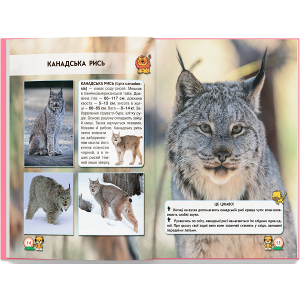 Фото -  Crystal Book Мир вокруг нас. Большие кошки (9789669369550)