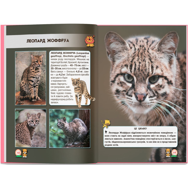 Фото -  Crystal Book Мир вокруг нас. Большие кошки (9789669369550)