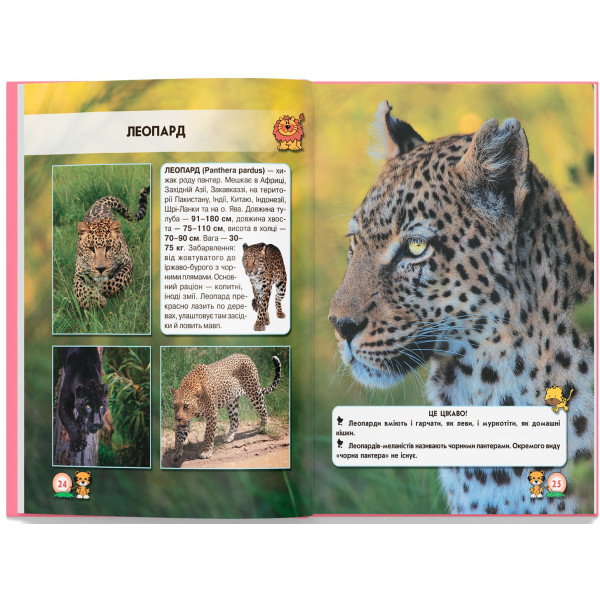 Фото -  Crystal Book Мир вокруг нас. Большие кошки (9789669369550)