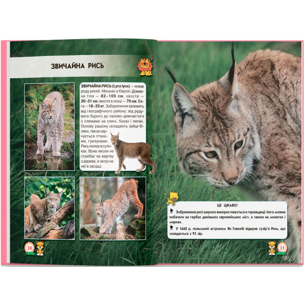 Фото -  Crystal Book Мир вокруг нас. Большие кошки (9789669369550)