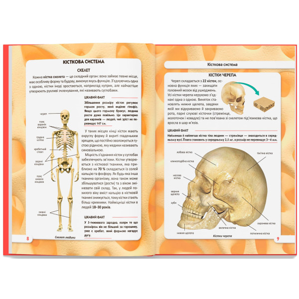 Фото -  Crystal Book Мир вокруг нас. Тело человека (9789669871688)