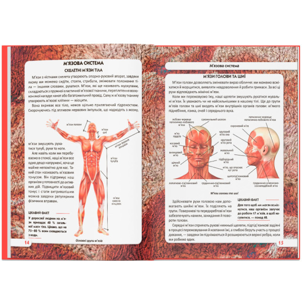 Фото -  Crystal Book Мир вокруг нас. Тело человека (9789669871688)