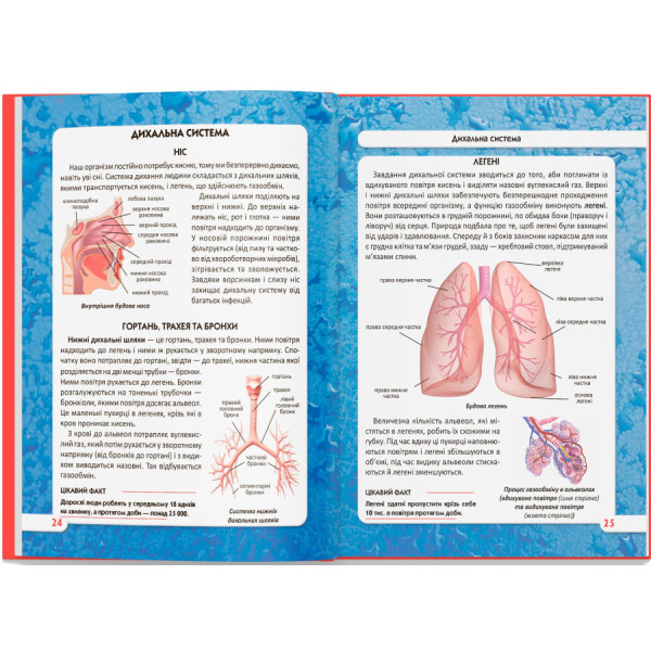 Фото -  Crystal Book Мир вокруг нас. Тело человека (9789669871688)