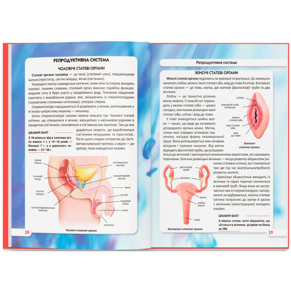 Фото -  Crystal Book Мир вокруг нас. Тело человека (9789669871688)