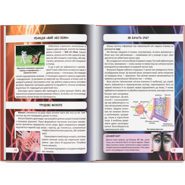 Фото - Crystal Book Мир вокруг нас. Как работает твое тело (9789669872418)