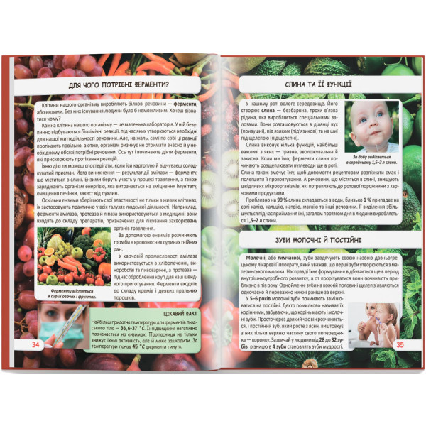 Фото - Crystal Book Мир вокруг нас. Как работает твое тело (9789669872418)