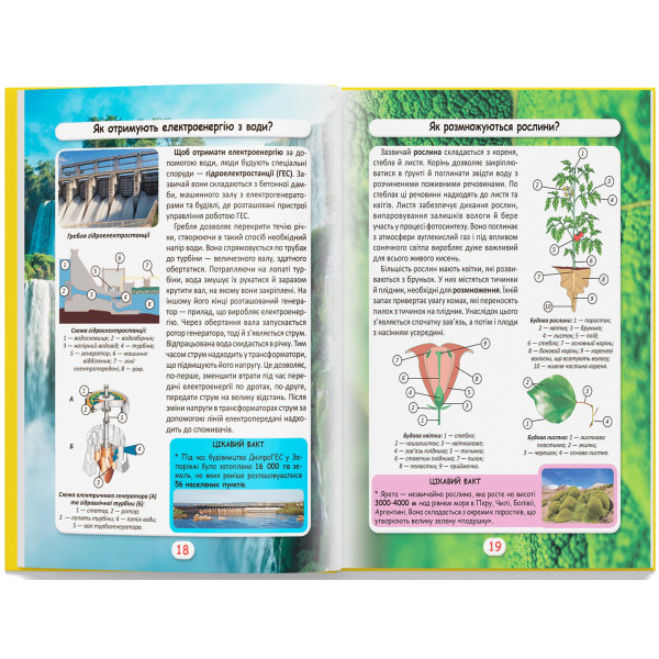 Фото -  Crystal Book Мир вокруг нас. Как? Зачем? Почему? Интересные факты о мире и человеке (9789669875402)