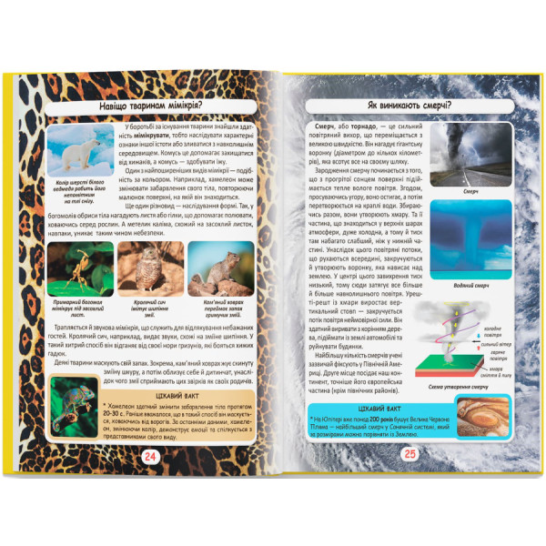 Фото -  Crystal Book Мир вокруг нас. Как? Зачем? Почему? Интересные факты о мире и человеке (9789669875402)