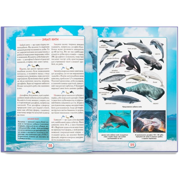 Фото -  Crystal Book Вы должны это знать. Мир зверей (9786175474693)