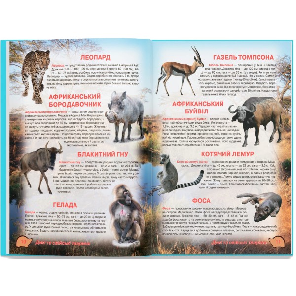 Фото -  Crystal Book Ілюстрований атлас живої природи (9789669361752)
