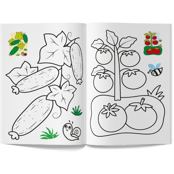 Фото - Розмальовки Crystal Book Кольорованка. Овочі (9786175476291)