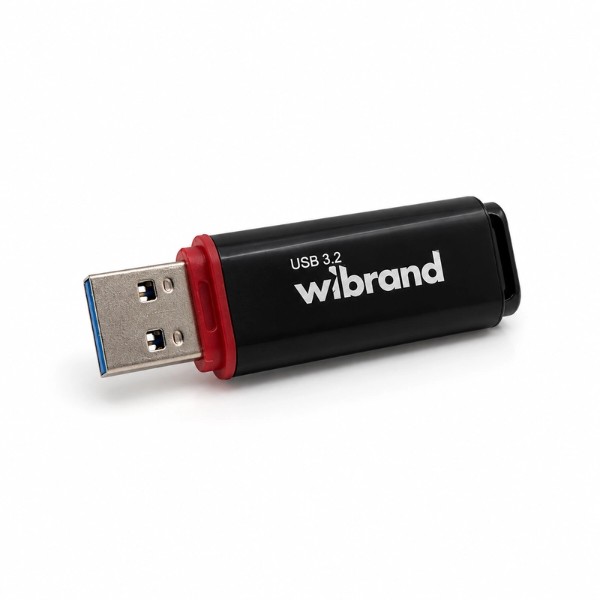 Фото - Флеш USB Wibrand USB 3.2 Gen1 Scarab 16GB Black (WI3.2/SC16P11B)