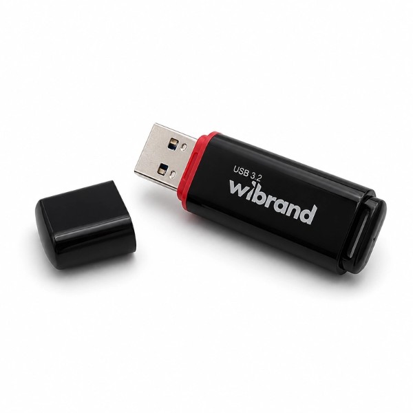 Фото - Флеш USB Wibrand USB 3.2 Gen1 Scarab 16GB Black (WI3.2/SC16P11B)