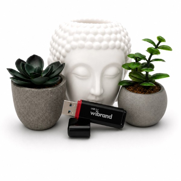 Фото - Флеш USB Wibrand USB 3.2 Gen1 Scarab 16GB Black (WI3.2/SC16P11B)
