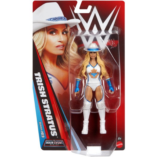 Фото - Колекційна фігурка WWE WWE (базова лінійка) (в ас.) (GDF62)