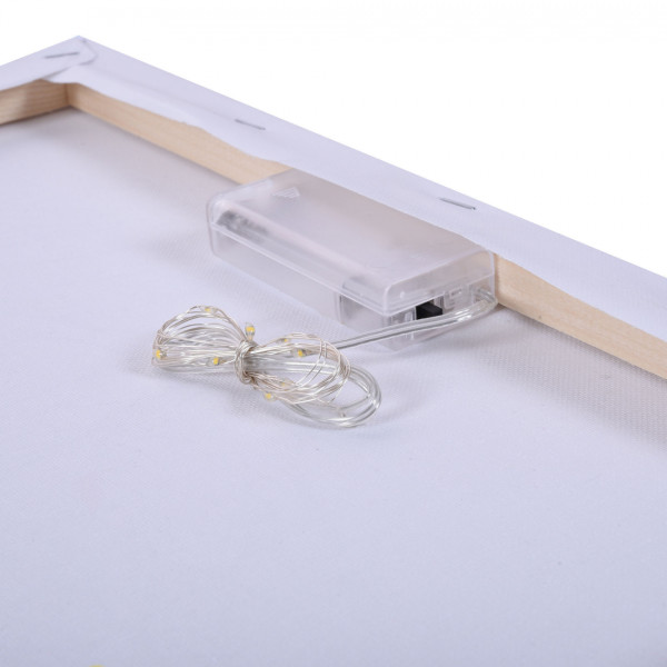 Фото - Картина за номерами Santi Троянди у човні 40х50 см +LED підсвітка (956661)