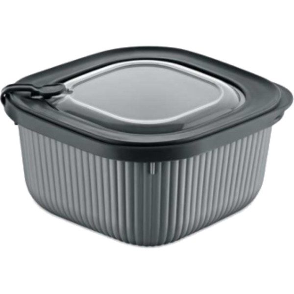 Фото - Ємність для зберігання Dunya 30903-DN-anthracite MicroLine 1,8 л