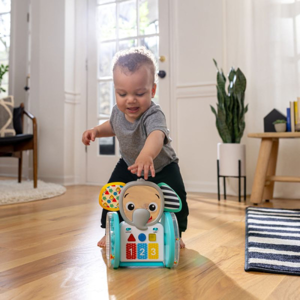 Фото - Интерактивная игрушка Baby Einstein Chase&Tap Earl (16923)