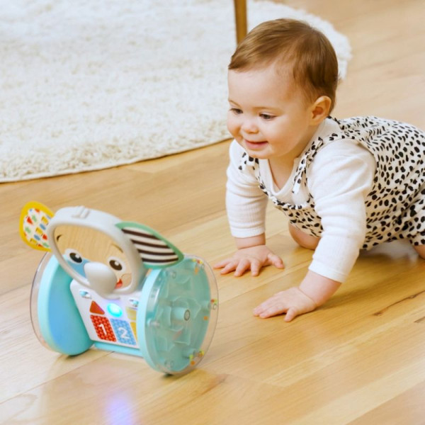 Фото - Интерактивная игрушка Baby Einstein Chase&Tap Earl (16923)