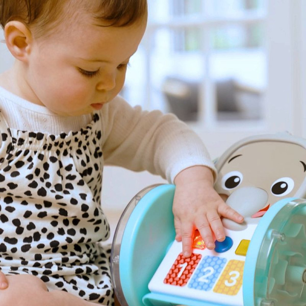 Фото - Интерактивная игрушка Baby Einstein Chase&Tap Earl (16923)