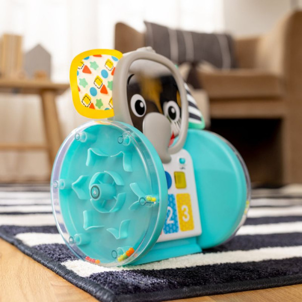 Фото - Интерактивная игрушка Baby Einstein Chase&Tap Earl (16923)