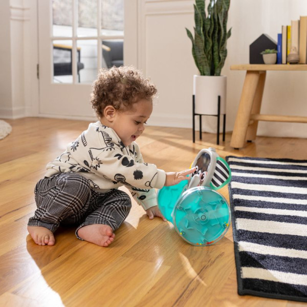 Фото - Интерактивная игрушка Baby Einstein Chase&Tap Earl (16923)