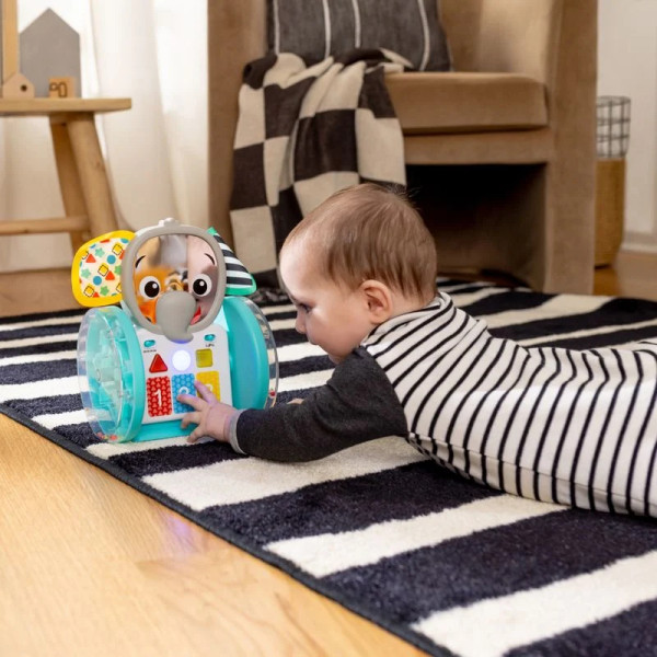 Фото - Интерактивная игрушка Baby Einstein Chase&Tap Earl (16923)