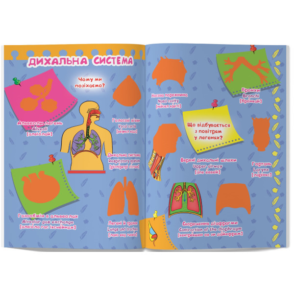 Фото -  Crystal Book Велика книжка. Розвивальні наліпки. Розумнi завдання. Тіло людини (9789669870575)