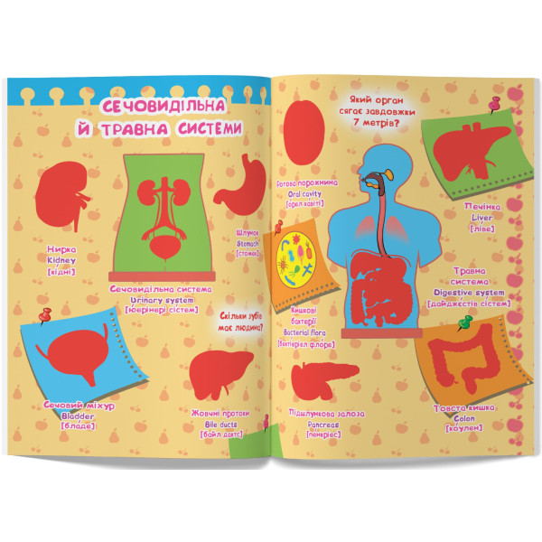 Фото -  Crystal Book Велика книжка. Розвивальні наліпки. Розумнi завдання. Тіло людини (9789669870575)