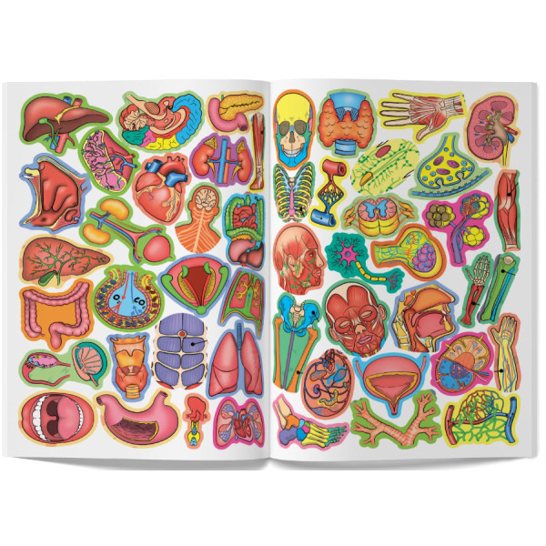 Фото -  Crystal Book Велика книжка. Розвивальні наліпки. Розумнi завдання. Тіло людини (9789669870575)