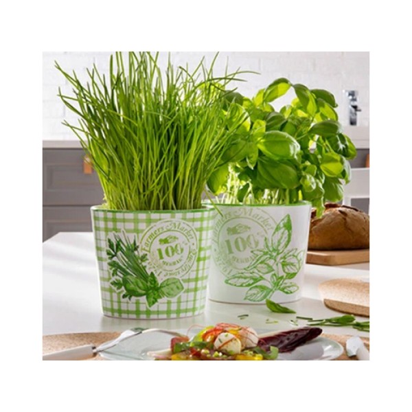Фото - Кашпо Scheurich Herbs 14“ белый (60456)