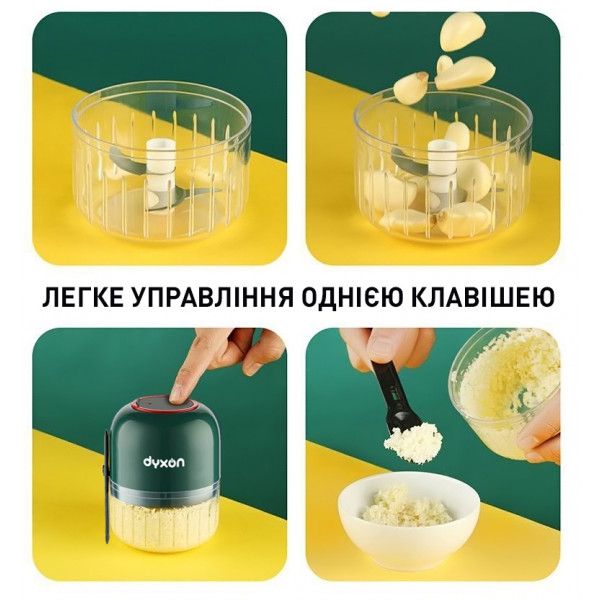 Фото - Блендер портативний Dyxon MEGAMIX 300 GREEN (DXNBMGMX300G)