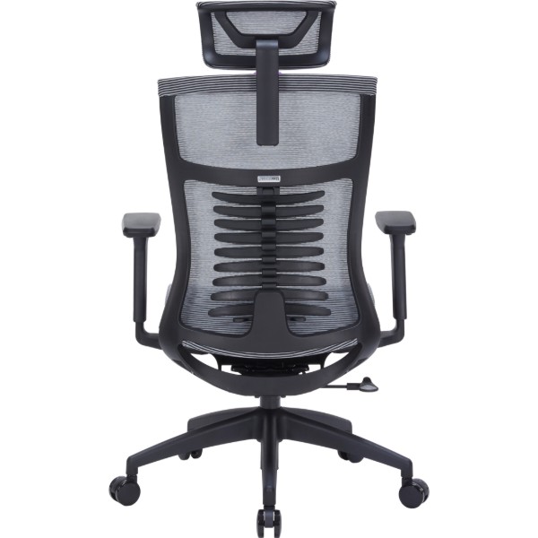 Фото - Крісло офісне OfficePro Balance (OC620-B-DG-DG) Black/Dark Gray