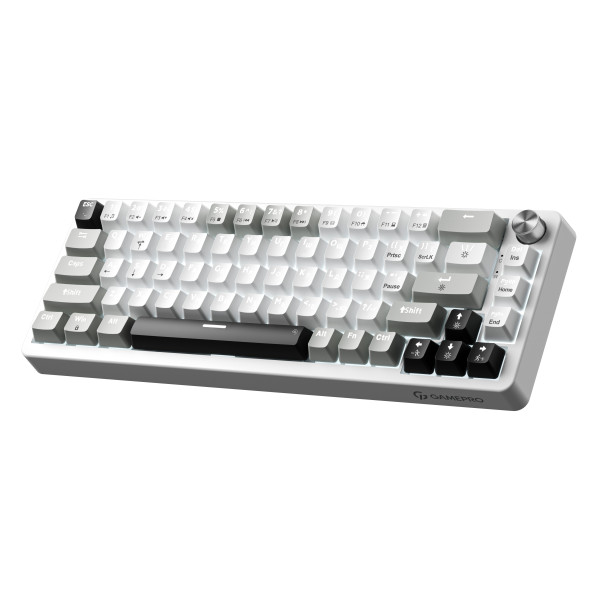 Фото - Клавиатура проводная игровая GamePro Genesis Silverlight  (MK116)