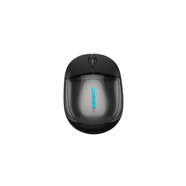 Фото - Мышь беспроводная Canyon OnClick 24 Dual-mode Silent Transparent/Black (CNS-CMSW24B)