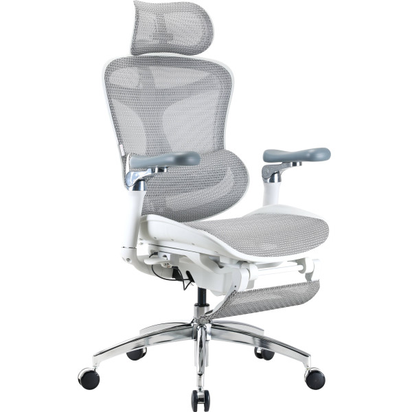 Фото - Крісло офісне Sihoo DORO C300 Pro Mesh White with footrest (DORO-C300-PRO-M102-JT)