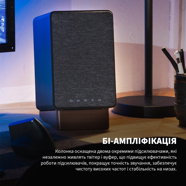 Фото - Компьютерная акустика обычная 2.0 Onkyo Creator Series GX-30ARC Black (GX30ARCBCUU)