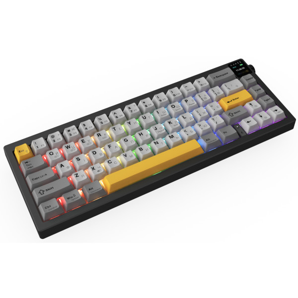 Фото - Клавіатура бездротова ігрова Ajazz AK650 Flying Fish Switch Black RGB With Screen (AK650-FF-BGY)