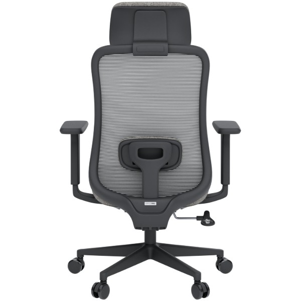 Фото - Крісло офісне OfficePro Wave (OC599-B-DG-DG) Black/Dark Gray